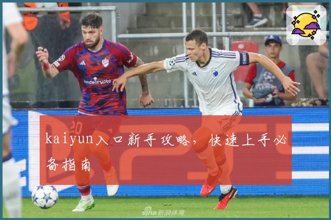 kaiyun入口新手攻略，快速上手必备指南