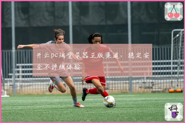 开云pc端登录器正版渠道，稳定安全不掉线体验