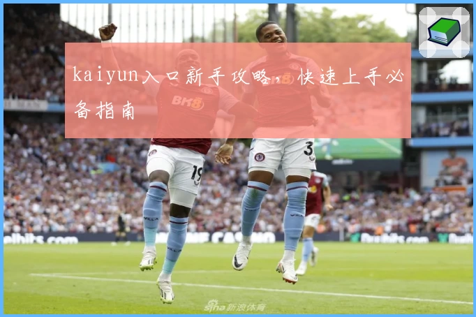 kaiyun入口新手攻略，快速上手必备指南